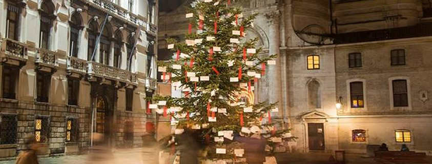 Dal Ben Giardini fornisce l’albero di Natale installato in campo San Geremia con i desideri dei migranti