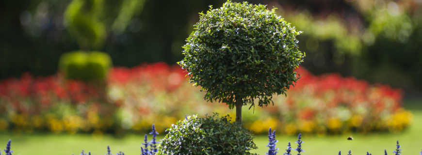 YOYI ART | Segnalibro Da Giardino A Forma Di Pianta | Decorazione Originale Per Vasi E Aiuole - 3