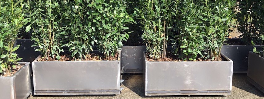 4 Vasi Per Piante Da Appendere In Metallo: Grandi, Per Esterni, Colori Assortiti, Per Balcone E Recinzione