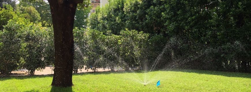 Irrigazione giardino: quando programmarla e come evitare gli sprechi
